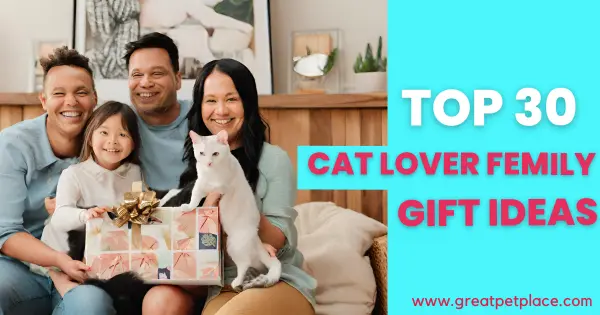Best Gift for Cat Lover Femily