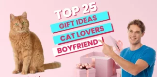 Cat Gift Ideas for Boyfriend