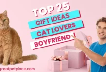 Cat Gift Ideas for Boyfriend