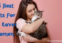 25 Best Gifts For Cat Lover Women