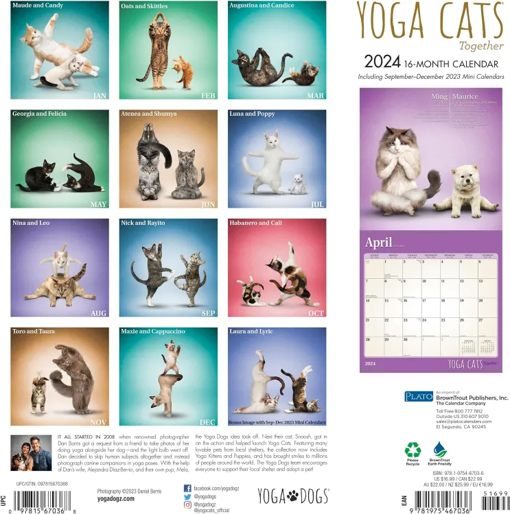Cat Yoga Calendar