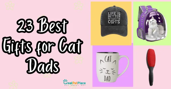 Best Gifts for Cat Dads