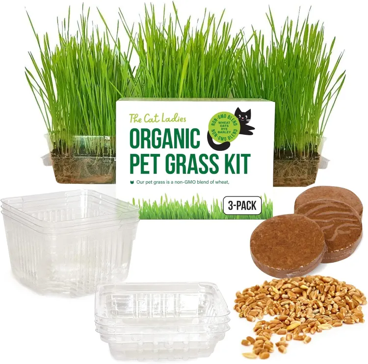 Cat Ladies Organic Pet Grass Grow Kit With Planter
