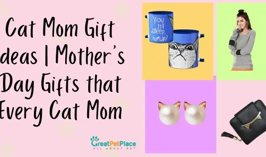 Cat Mom Gift ideas Mother’s Day Gifts that Every Cat Mom