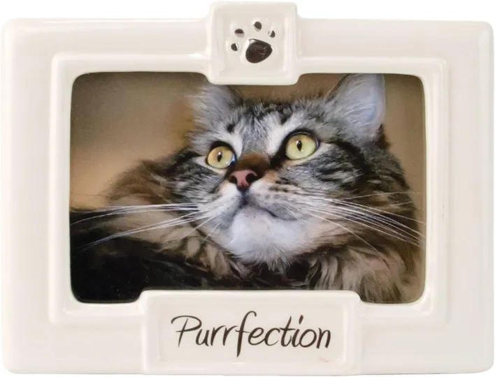 “Purrfection” Picture Frame