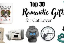 Romantic-Gifts-for-Cat-Lovers