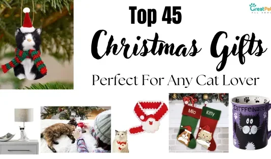 Christmas-Gifts-Perfect-For-Any-Cat-Lover